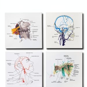Harvard Press Oral Maxillofacial Surgery Atlas 932‑Page Reference-0